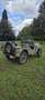 Jeep Willys - thumbnail 9