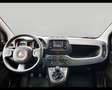 Fiat Panda 1.0 FireFly Hybrid Schwarz - thumbnail 9