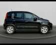Fiat Panda 1.0 FireFly Hybrid Schwarz - thumbnail 5