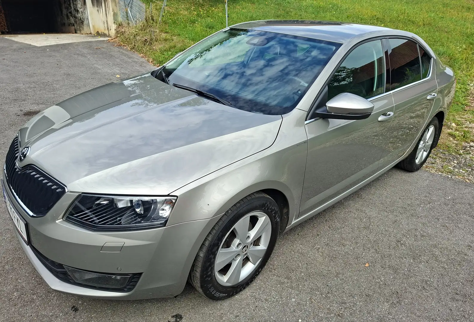 Skoda Octavia Octavia 1,6 Elegance TDI Green tec Elegance Beige - 1