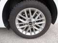 Kia Rio 1.0 T-GDi 100 CV MHEV iMT Style Bianco - thumbnail 8
