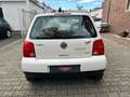 Volkswagen Lupo Rave*Garantie* Weiß - thumbnail 5