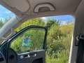 Volkswagen T5 Multivan Startline sucht neues Zuhause Grün - thumbnail 17