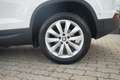 SEAT Ateca 1.5 TSI Style DSG LED Navi Kamera FullLink Blanc - thumbnail 16