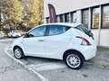 Lancia Ypsilon 1.2 BENZINA Wit - thumbnail 4