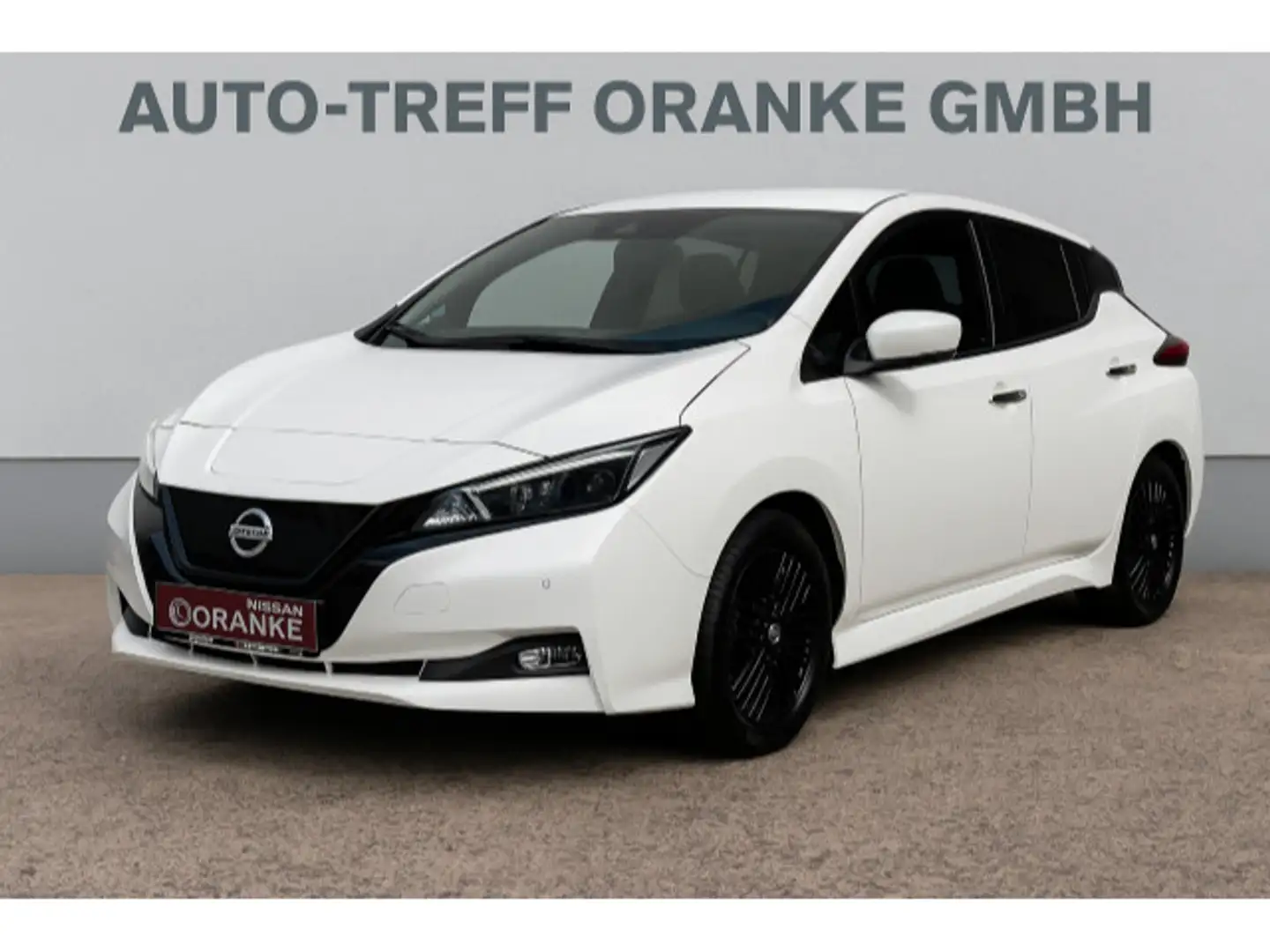 Nissan Leaf N-Connecta ProPilot*Allwetter*Dachträger White - 2