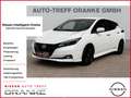 Nissan Leaf N-Connecta ProPilot*Allwetter*Dachträger White - thumbnail 1