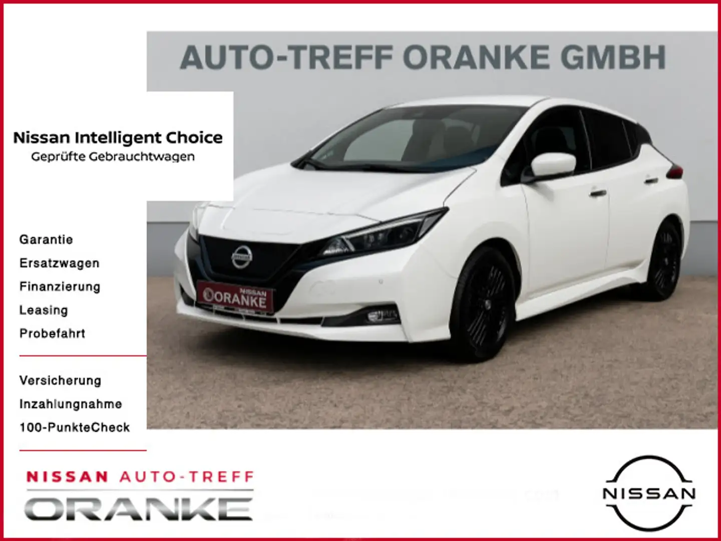 Nissan Leaf N-Connecta ProPilot*Allwetter*Dachträger White - 1