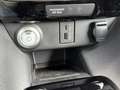 Nissan Leaf N-Connecta ProPilot*Allwetter*Dachträger White - thumbnail 19