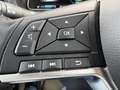 Nissan Leaf N-Connecta ProPilot*Allwetter*Dachträger White - thumbnail 17
