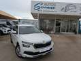 Skoda Kamiq 1.0 TSI 81 kW Blanco - thumbnail 9