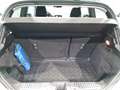 Ford Fiesta 1.0 EcoBoost Titanium*DAB*B&O* Grün - thumbnail 9