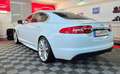 Jaguar XF 2.2 d Luxury-Sport-Paket LED Aut. Leder Weiß - thumbnail 10