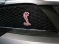 Ford Mustang 5.4 V8 GT 500 Schwarz - thumbnail 13