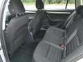 Skoda Octavia Octavia 1.6 TDI DPF Ambition Limited 4x4 (EURO 6d- Silber - thumbnail 10