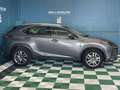 Lexus NX 300h 300H 2WD PACK BUSINESS MY20 TVA RECUPERABLE Grau - thumbnail 5
