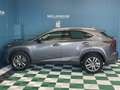 Lexus NX 300h 300H 2WD PACK BUSINESS MY20 TVA RECUPERABLE Grau - thumbnail 6