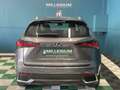 Lexus NX 300h 300H 2WD PACK BUSINESS MY20 TVA RECUPERABLE Grau - thumbnail 4