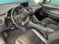 Lexus NX 300h 300H 2WD PACK BUSINESS MY20 TVA RECUPERABLE Grau - thumbnail 7