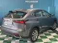 Lexus NX 300h 300H 2WD PACK BUSINESS MY20 TVA RECUPERABLE Grau - thumbnail 2