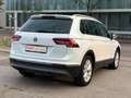 Volkswagen Tiguan Highline BMT/Start-Stopp/ACC/Kamera/Xenon Blanc - thumbnail 12