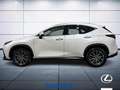 Lexus NX 200t 2.5 plug-in Premium 4wd e-cvt Weiß - thumbnail 9