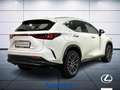 Lexus NX 200t 2.5 plug-in Premium 4wd e-cvt Weiß - thumbnail 6