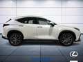 Lexus NX 200t 2.5 plug-in Premium 4wd e-cvt Weiß - thumbnail 5