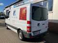 Mercedes-Benz Sprinter II Kasten 310/311/313/314/316 CDI Weiß - thumbnail 2