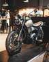 Triumph Scrambler 1200 X - Icon Edition Argent - thumbnail 1