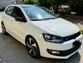 Volkswagen Polo Polo 1.2 75Cv Diesel Bianco - thumbnail 1