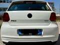 Volkswagen Polo Polo 1.2 75Cv Diesel Bianco - thumbnail 4