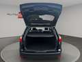 Ford Focus Turnier Champions Edition Noir - thumbnail 18