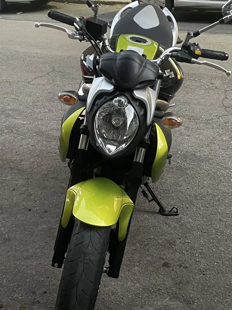 Suzuki Gladius 650 - 1