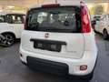 Fiat Panda 1.0 FireFly Hybrid City-Life + gpl Bianco - thumbnail 4
