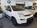Fiat Panda 1.0 FireFly Hybrid City-Life + gpl Bianco - thumbnail 10