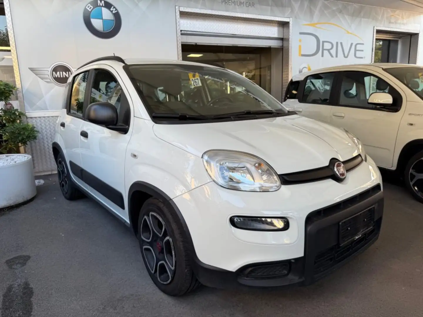 Fiat Panda 1.0 FireFly Hybrid City-Life + gpl Bianco - 2