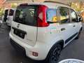 Fiat Panda 1.0 FireFly Hybrid City-Life + gpl Bianco - thumbnail 5