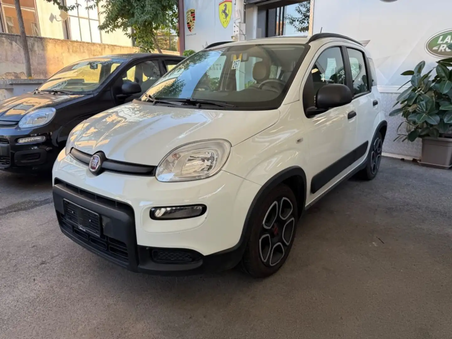 Fiat Panda 1.0 FireFly Hybrid City-Life + gpl Bianco - 1
