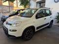 Fiat Panda 1.0 FireFly Hybrid City-Life + gpl Bianco - thumbnail 3