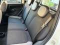 Fiat Panda 1.0 FireFly Hybrid City-Life + gpl Bianco - thumbnail 9