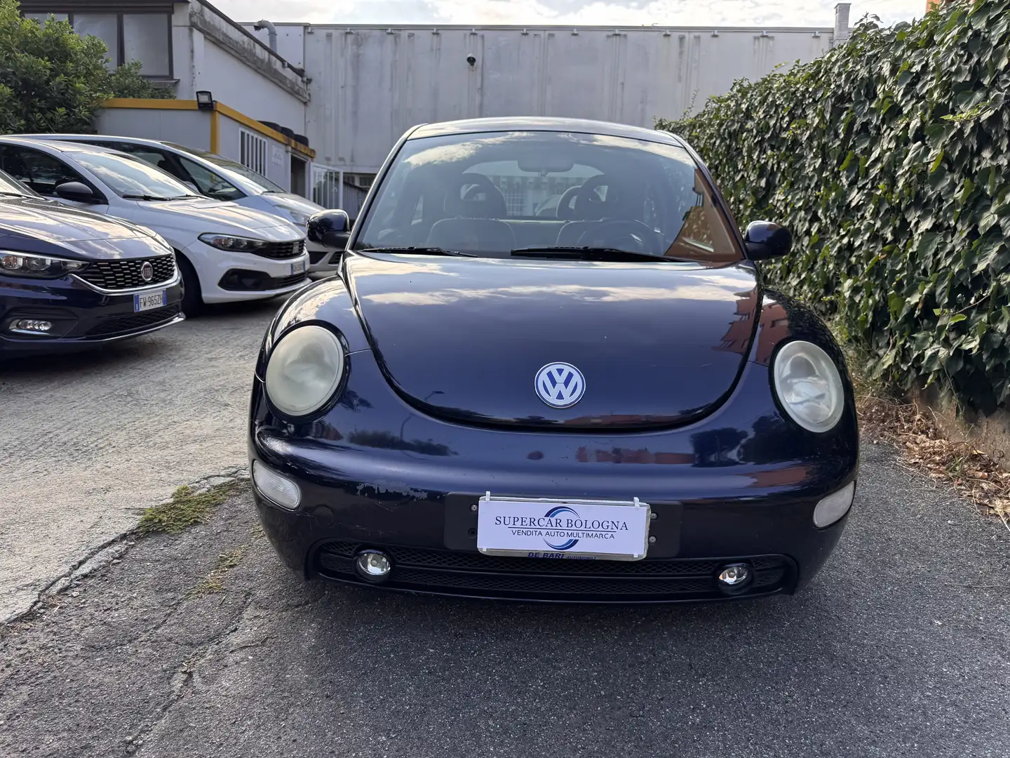 Volkswagen New Beetle New Beetle 1.9 tdi Blu/Azzurro - 1
