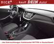 Opel Grandland X 1.2 Edit NAVI+LED+SHZ+TEMP+DAB+PDC+ Grijs - thumbnail 12