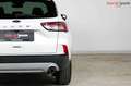 Ford Kuga Titanium X | TRAUMZUSTAND | Head-Up | B+O Weiß - thumbnail 13