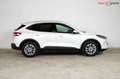 Ford Kuga Titanium X | TRAUMZUSTAND | Head-Up | B+O Weiß - thumbnail 4