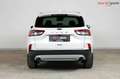 Ford Kuga Titanium X | TRAUMZUSTAND | Head-Up | B+O Weiß - thumbnail 6