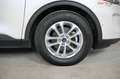 Ford Kuga Titanium X | TRAUMZUSTAND | Head-Up | B+O Weiß - thumbnail 37