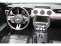 Ford Mustang GT 5.0 V8 Ti-VCT 421 - BVA Gris - thumbnail 11