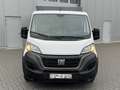 Fiat Ducato 7 PLACES/ CAISSE BACHE/ TVA RECUPERABLE/ 1ERE MAIN Wit - thumbnail 2