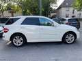 Mercedes-Benz ML 450 AMG-Optic-/Styling-Paket 1 CDI M -Klasse (BM 164) White - thumbnail 4